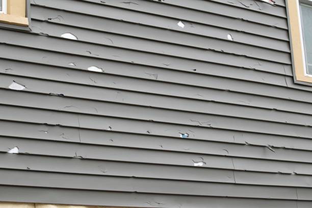 Best Demolition Debris Removal  in Mulberry, FL